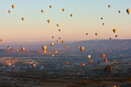 此内容被密码保护
