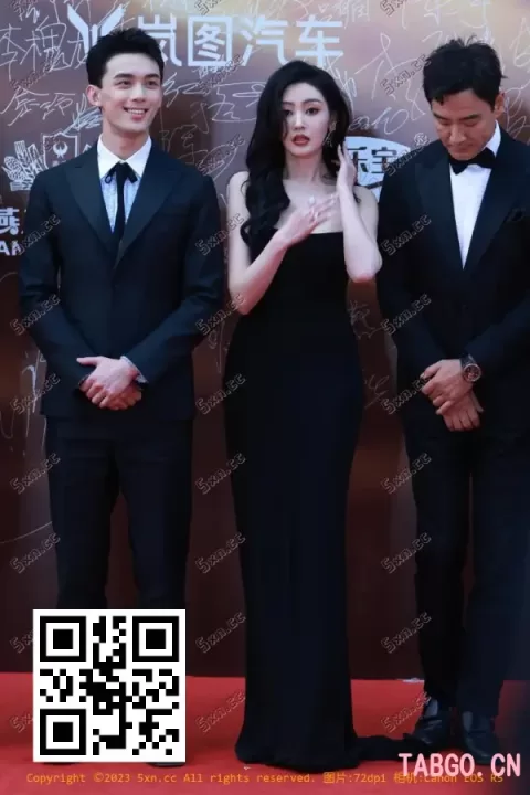【已出】张天爱华表奖红毯