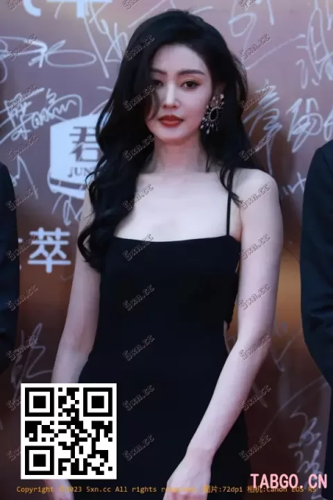 【已出】张天爱华表奖红毯