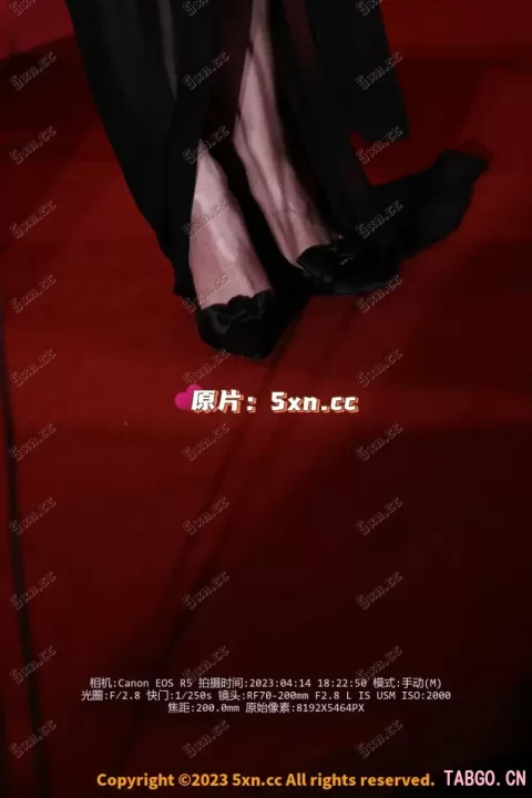 【已出】舒淇宝格丽红毯