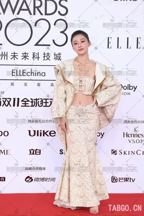 【已出】胡连馨ELLE红毯