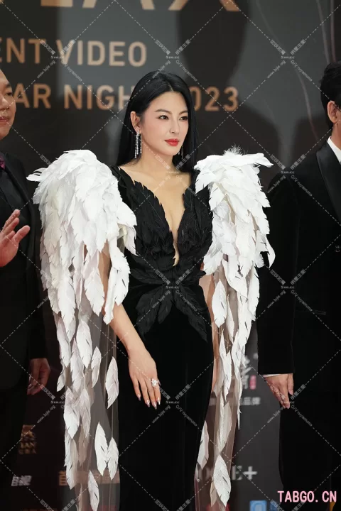 【已出】张雨绮星光红毯内场 造型在线的
