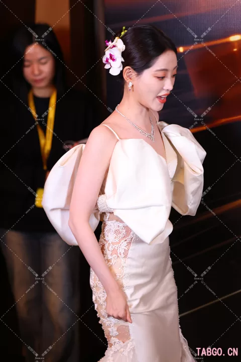 祝绪丹搜狐红毯