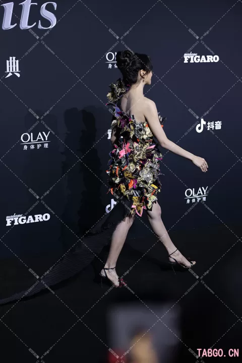 【已出】谢可寅费加罗主持