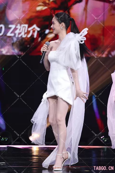 林允手艺人大会发布会