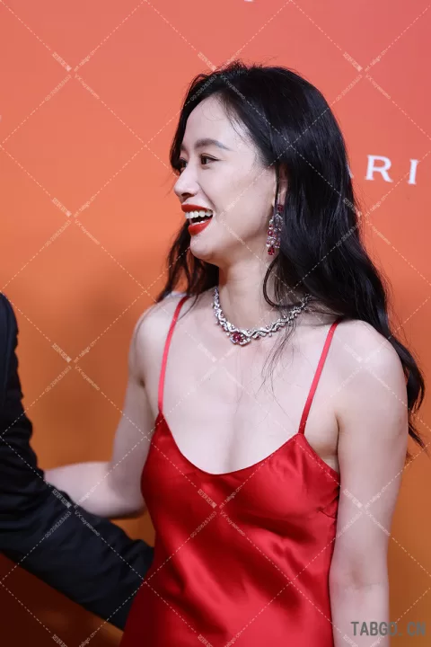 【已出】李梦宝格丽红毯