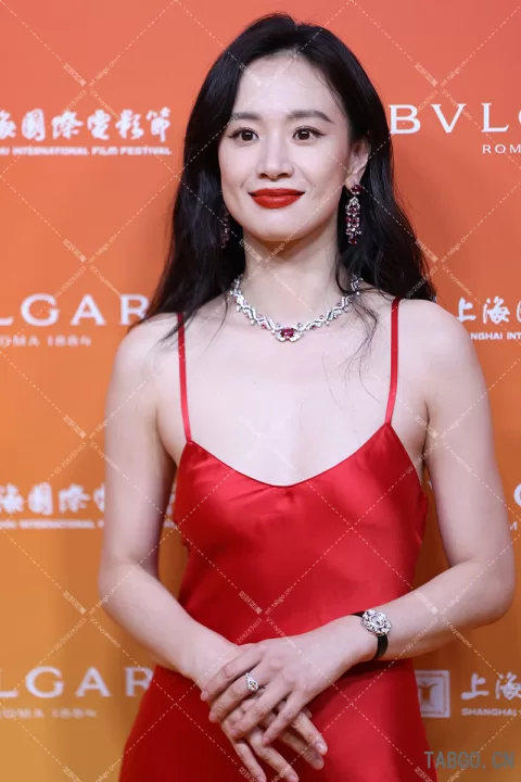 【已出】李梦宝格丽红毯