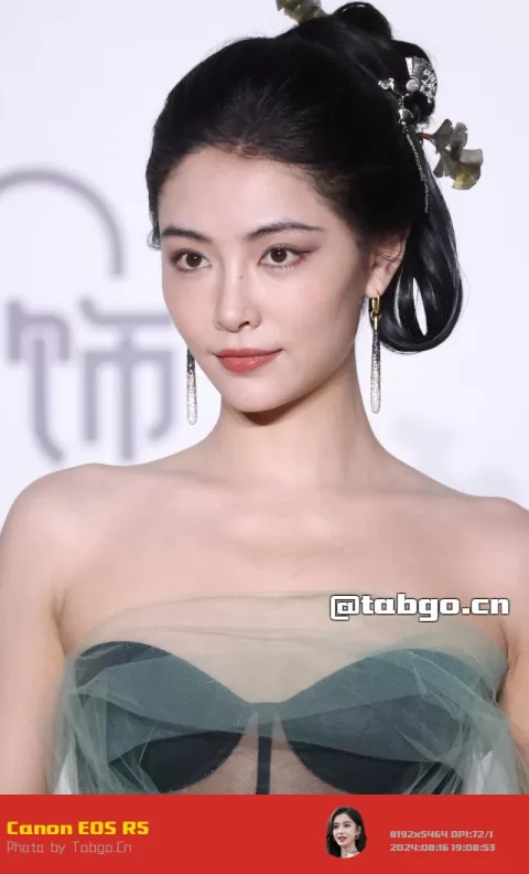 【已出】许佳琪费加罗红毯