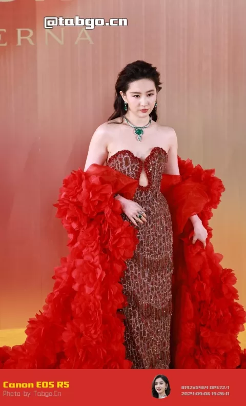 【已出】刘亦菲 宝格丽红毯 怼脸特写
