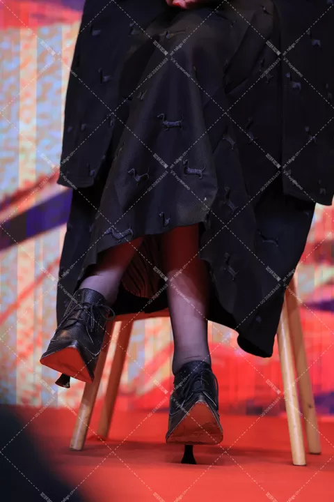 赵小棠 春花焰 黑丝