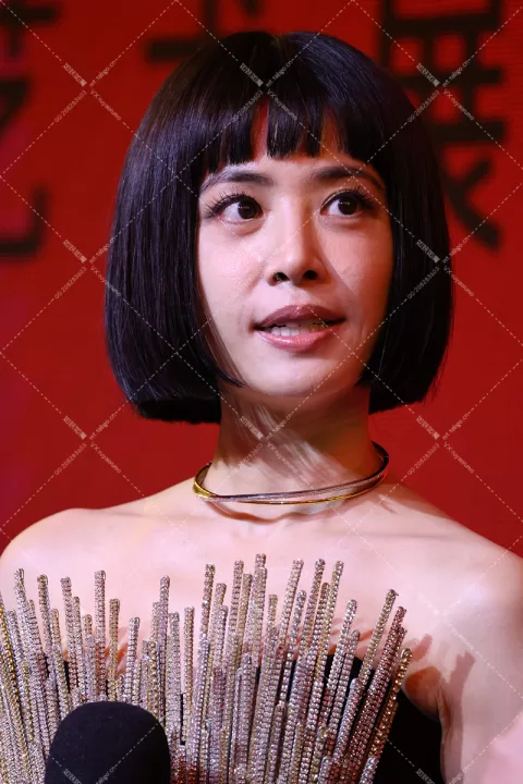 蔡依林沙宣