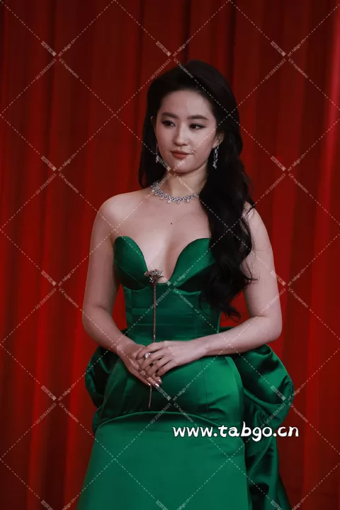【已出】刘亦菲 微博视界大会红毯1