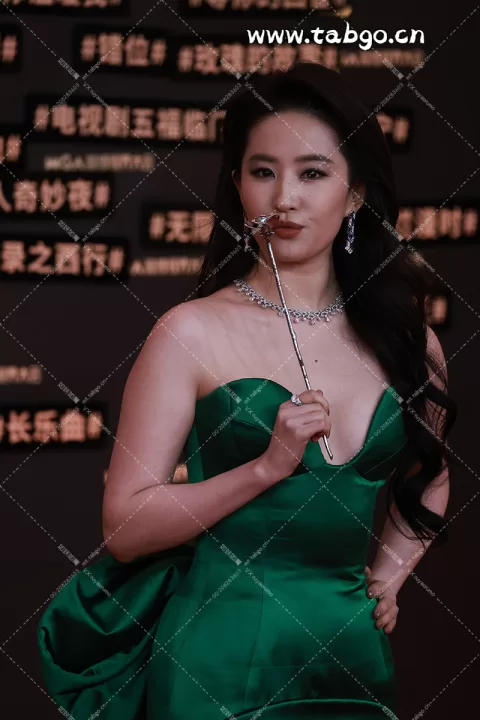 【已出】刘亦菲 微博视界大会红毯1