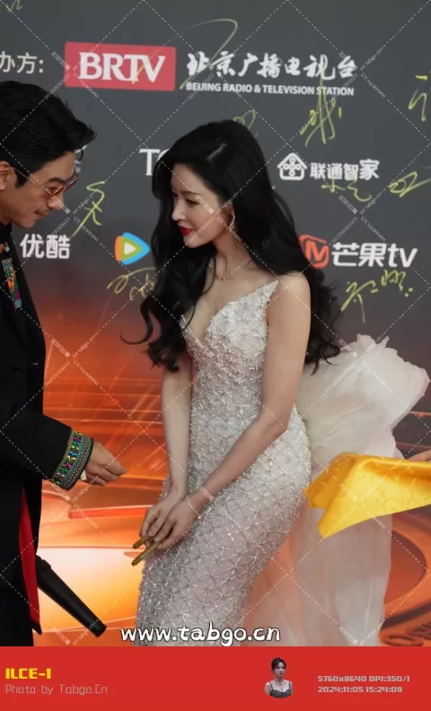 张天爱 微博视界大会红毯