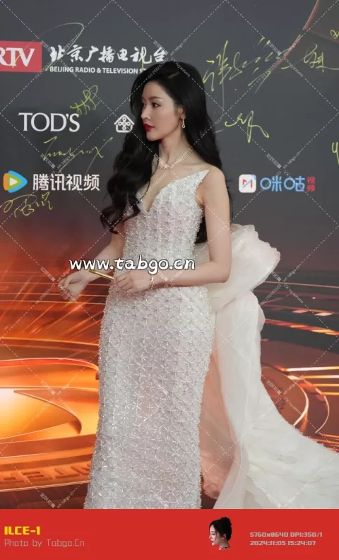 张天爱 微博视界大会红毯