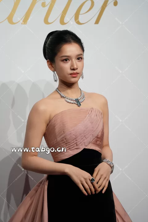 张婧仪 卡地亚红毯
