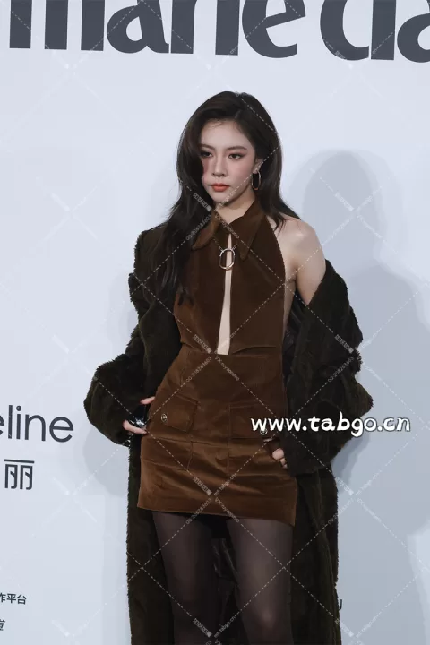 【已出】宋妍霏 嘉人红毯