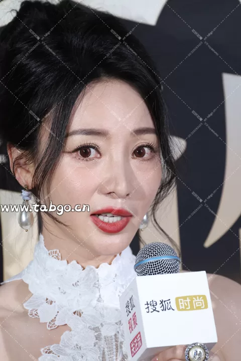  【已出】柳岩搜狐盛典 群访