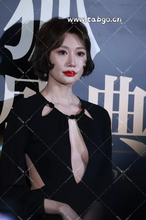 李斯羽搜狐盛典 群访