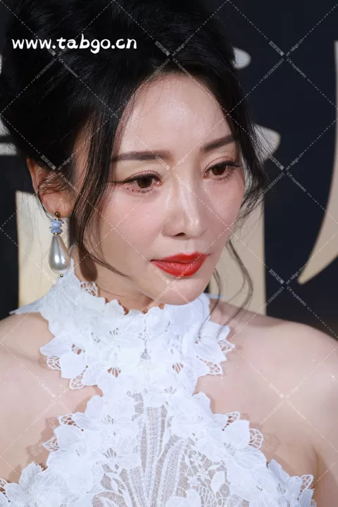  【已出】柳岩搜狐盛典 群访
