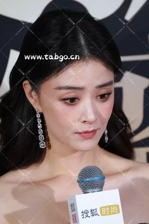  【已出】蒋欣搜狐盛典 群访