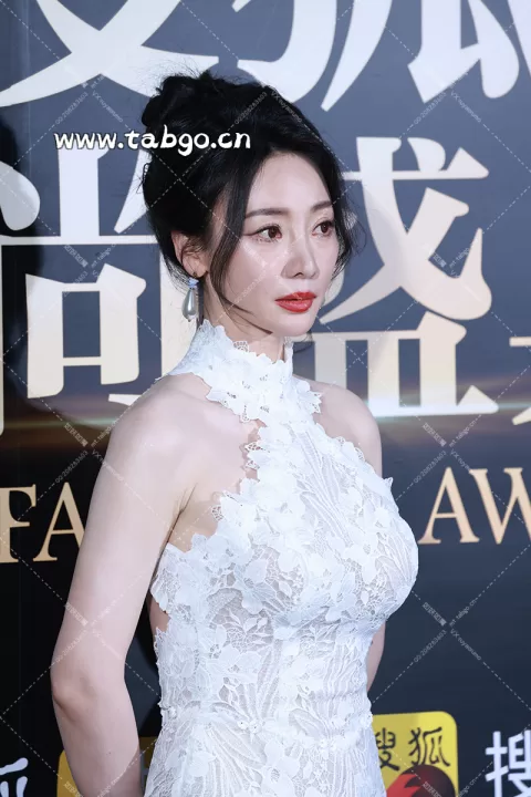 柳岩 搜狐盛典 群访二