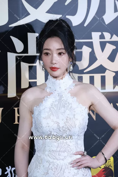 柳岩 搜狐盛典 群访二