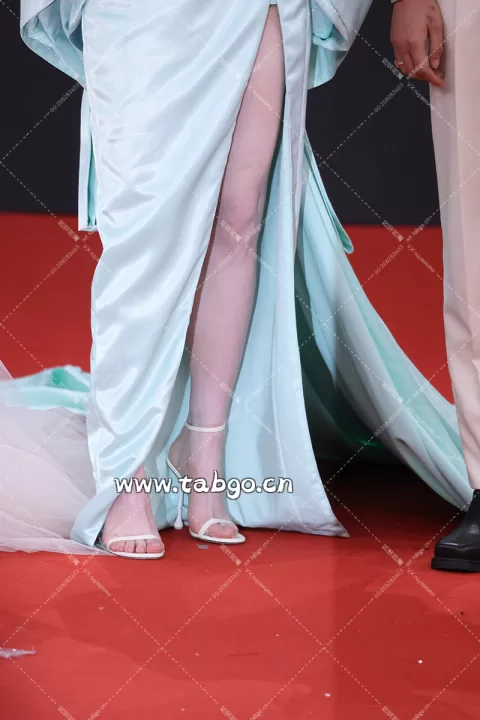 【已出】虞书欣 星光红毯