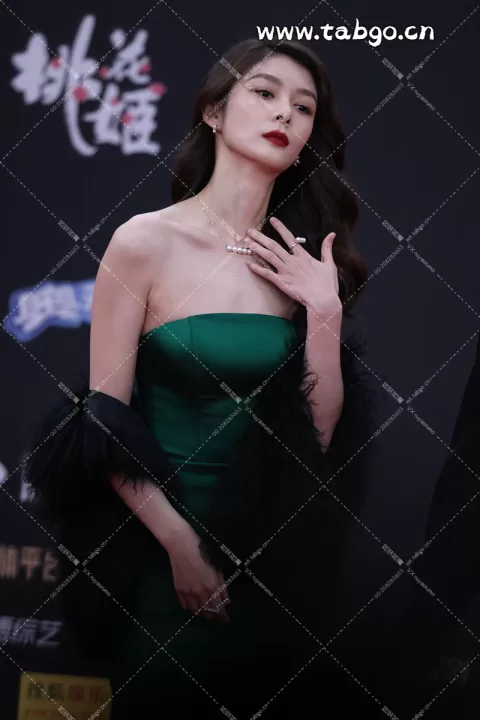 傅菁 星光红毯 性感