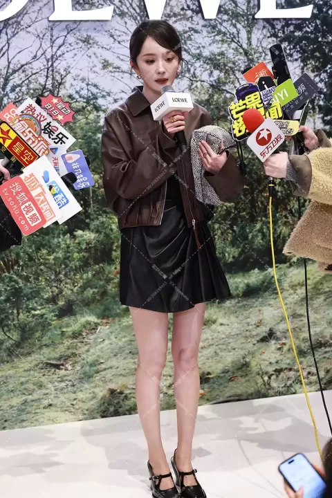 【已出】杨幂罗意威开幕红毯