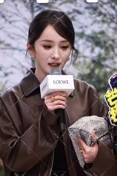 【已出】杨幂罗意威开幕红毯