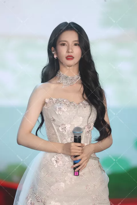 【已出】刘些宁 五福临门团建夜造型一