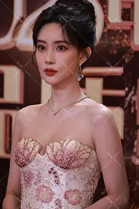 【已出】孟子义 品质盛典 红毯