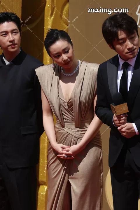 【已出】高叶 华表红毯1 