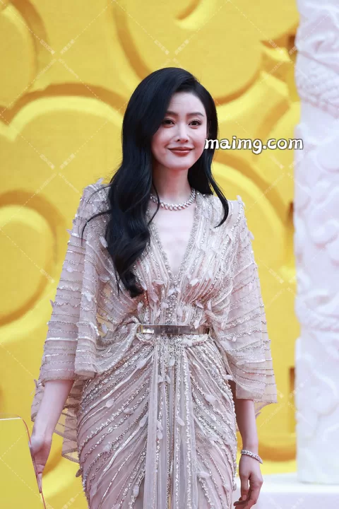 张天爱 华表红毯