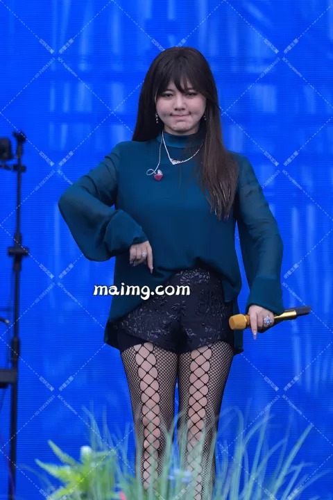 阿兰 音乐节