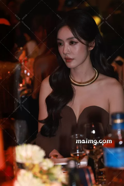 蔡文静 ellemen晚宴