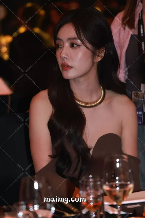 蔡文静 ellemen晚宴