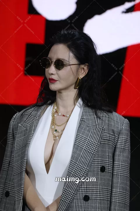 张萌 腾讯招商大会（L）