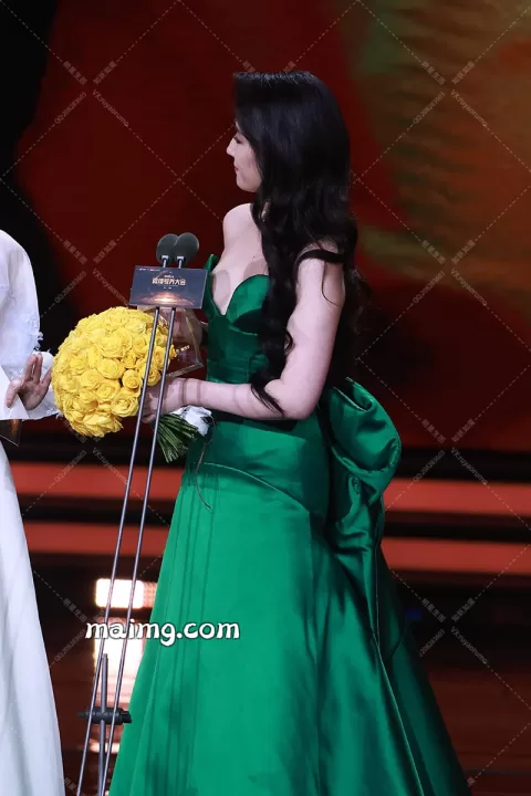 【已出】刘亦菲 微博视界大会内场（旧）
