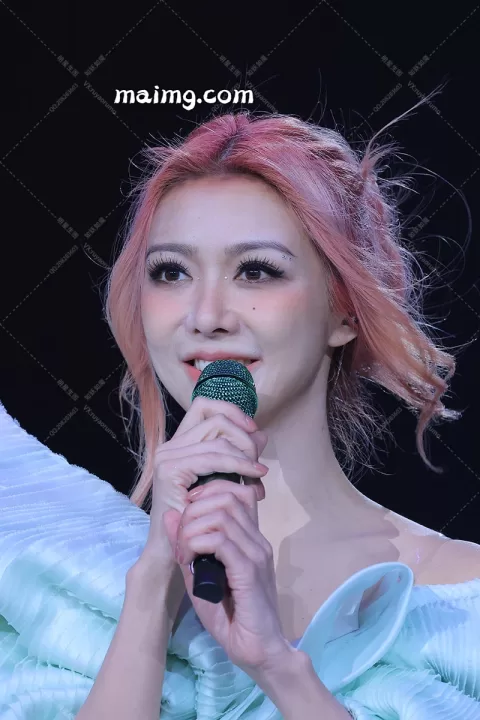 薛凯琪 演唱会 二 多造型