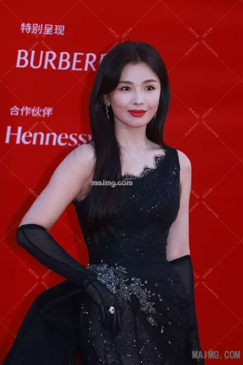 刘涛 栩栩华生红毯