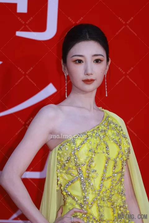 毛晓彤 栩栩华生红毯