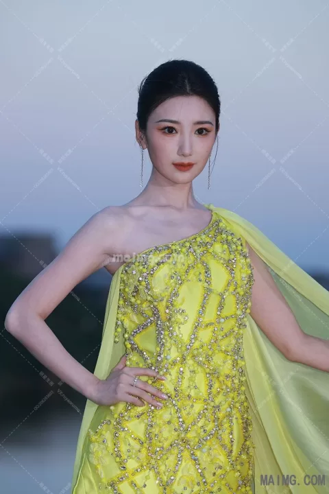 毛晓彤 栩栩华生红毯