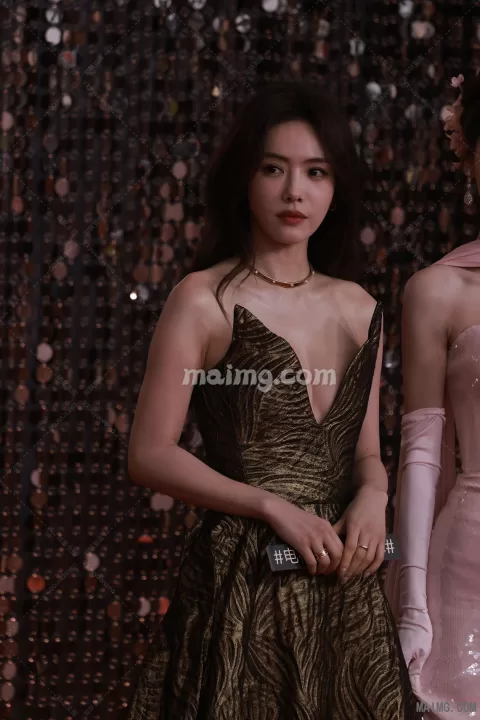 【已出】蔡文静 微博微视之夜红毯