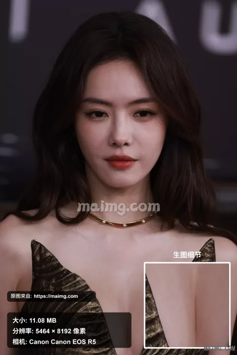 【已出】蔡文静 微博微视之夜红毯