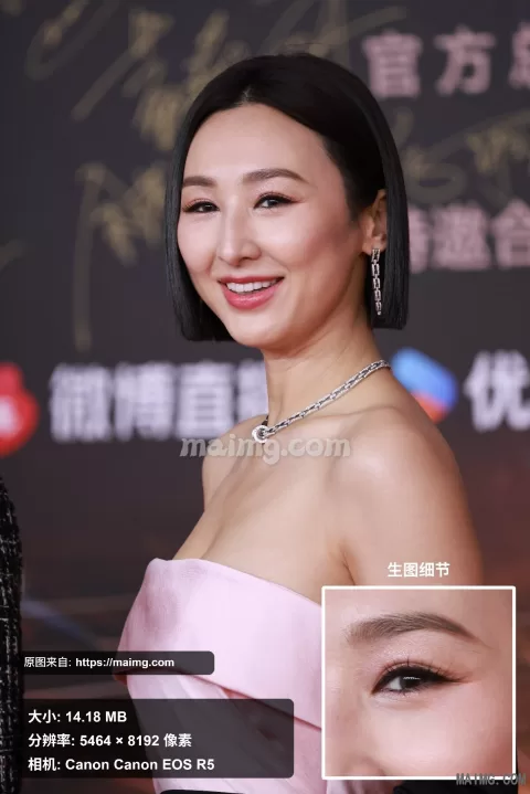【已出】高海宁 微博视界大会