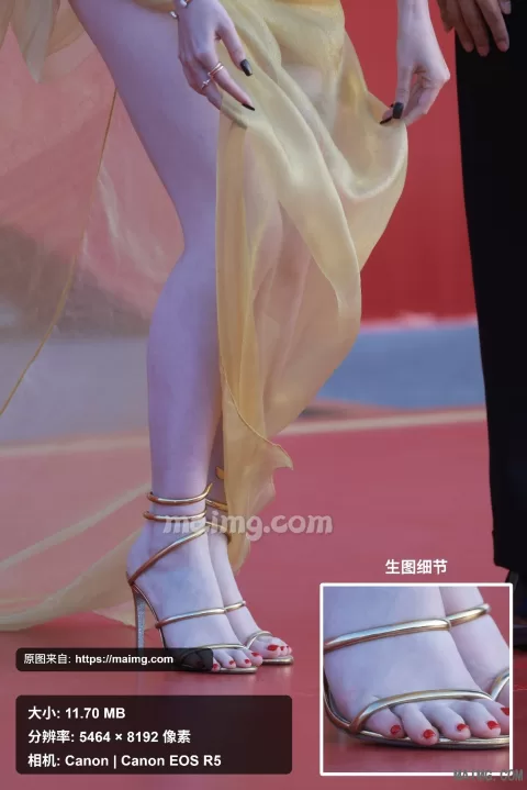 【已出】蒋梦婕 金鸡闭幕式