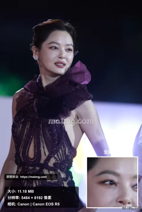 辛芷蕾 金鸡闭幕红毯