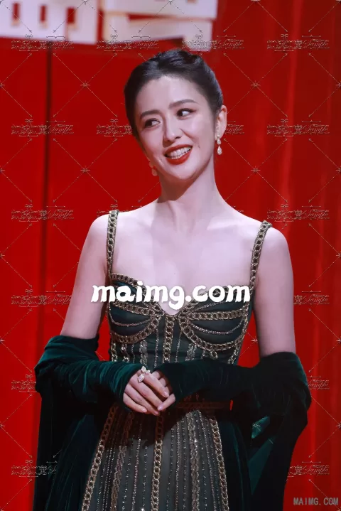 佟丽娅 搜狐红毯